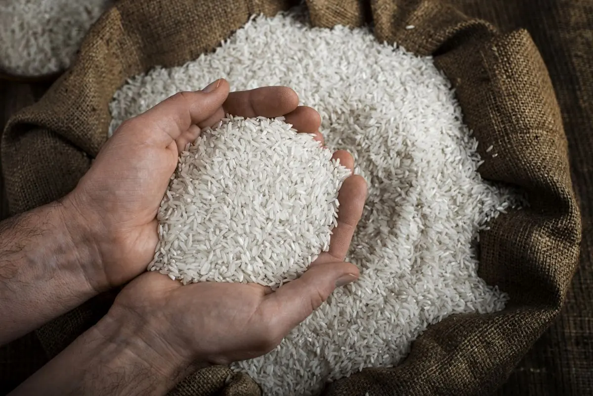 Agricultural products — rice, rubber and cashew